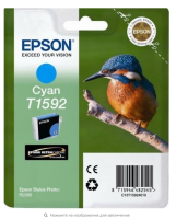 EPSON C13T15904010 Картридж T1590 для Stylus Photo R2000 (gloss) (cons ink)