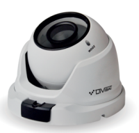 Купольная IP видеокамера с вариофокальным объективом DVI-D325V LV