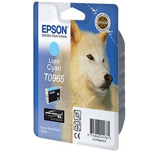 EPSON C13T09654010 Epson картридж для R2880 (Light Cyan) (cons ink) фото в интернет-магазине Business Service Group