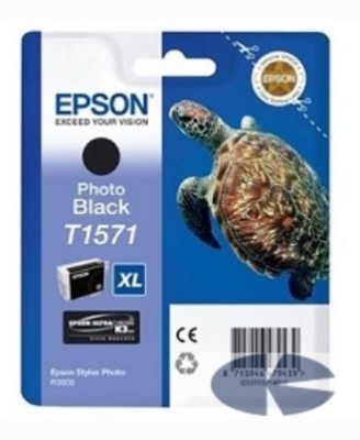 EPSON C13T15714010 EPSON для Stylus Photo R3000 (Photo Black) (cons ink) фото в интернет-магазине Business Service Group