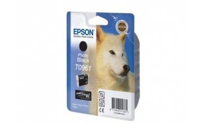 EPSON C13T09684010 Epson картридж для R2880 (Matte Black) (cons ink) фото в интернет-магазине Business Service Group