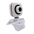 Web-камера Oklick OK-C8812 белый 0.3Mpix (640x480) USB2.0 с микрофоном [1455922]
